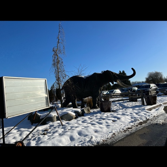 Meet your Posher - Picture 1 of 1